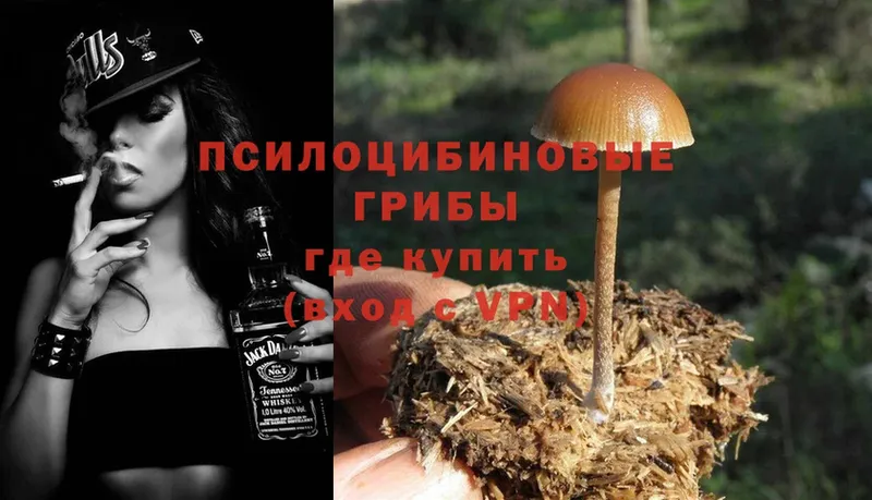 shop формула  Великий Устюг  Псилоцибиновые грибы MAGIC MUSHROOMS  купить  